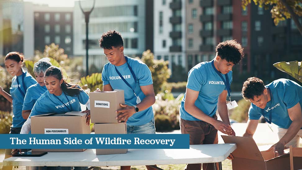 The Human Side of Wildfire Recovery